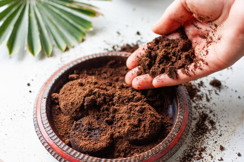 are coffee grounds good for fig plants
