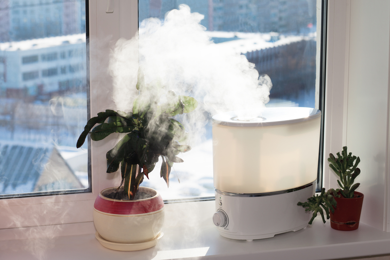 a humidifier around plants