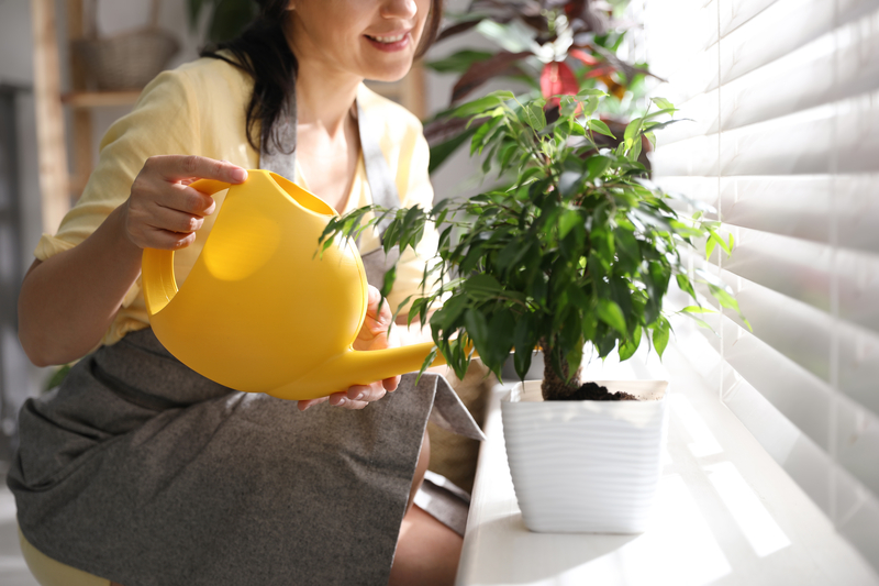 Have a Plant Sitter Help You