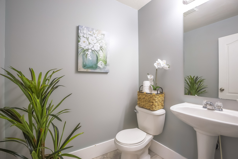 Is it Good Feng Shui to Put Plants in a Bathroom