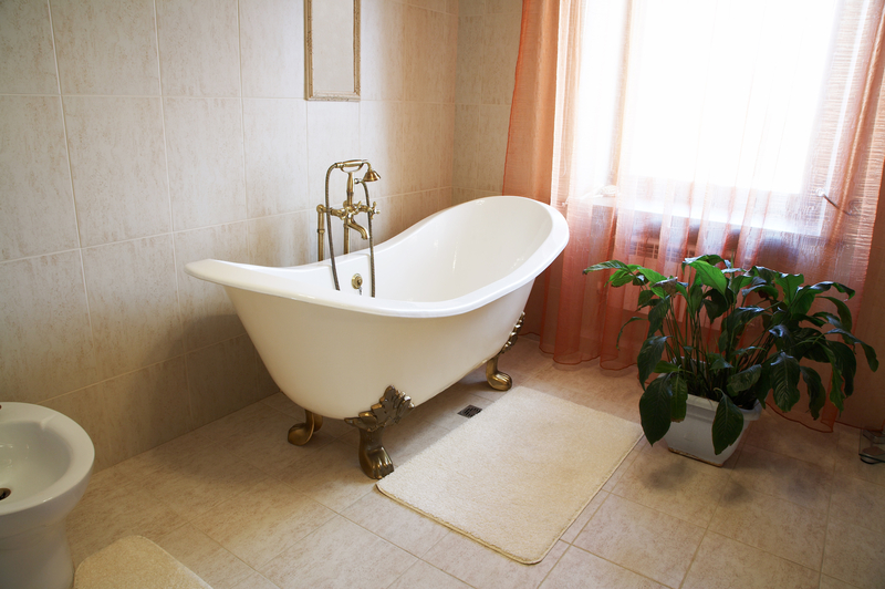 What Are Some Benefits to Having Houseplants in the Bathroom