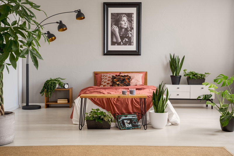 What are the Benefits of Having Plants in the Bedroom