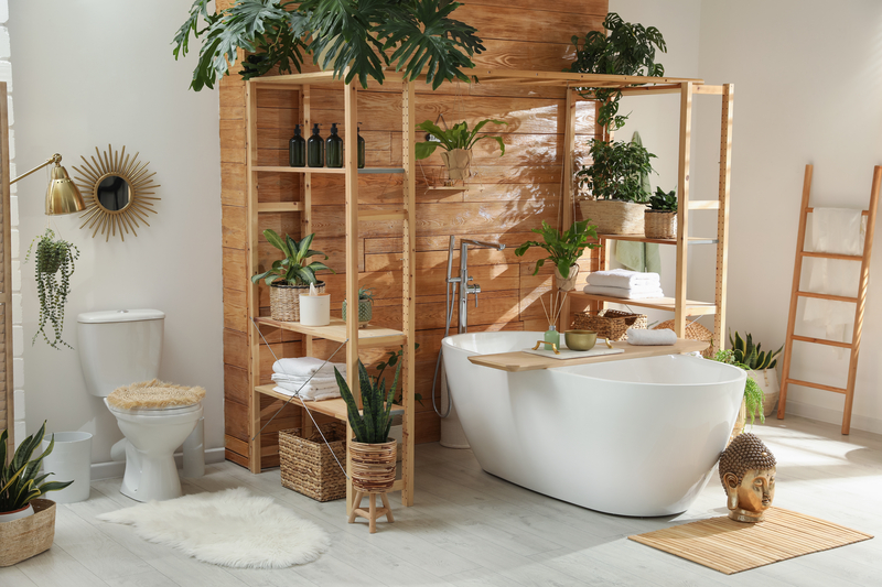 Why Put Plants in a Bathroom