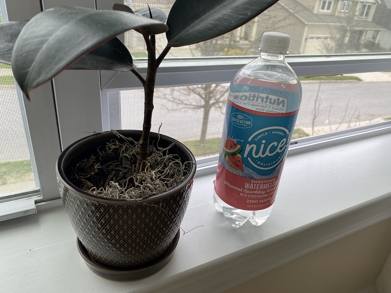 What are the Cons of Using Club Soda with Plants