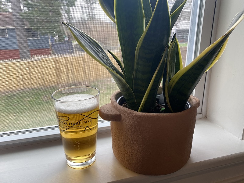 is beer good for plants