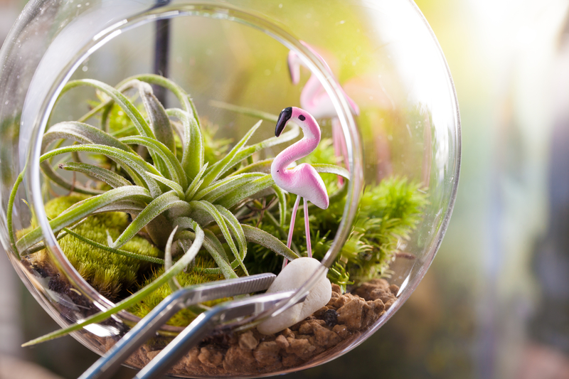 How Do you Check Humidity Levels in a Terrarium