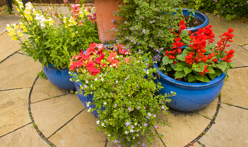 Is it Better to Plant Annuals for Trial and Error