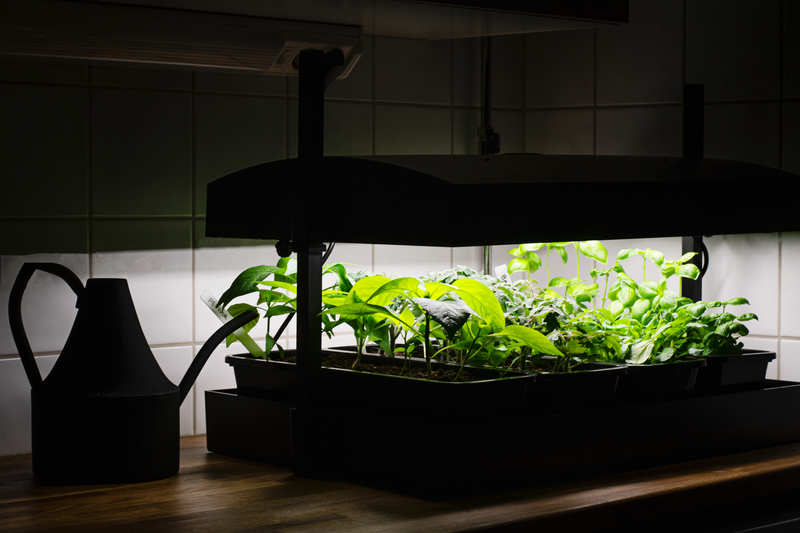 What Indoor Plants Benefit From Grow Lights