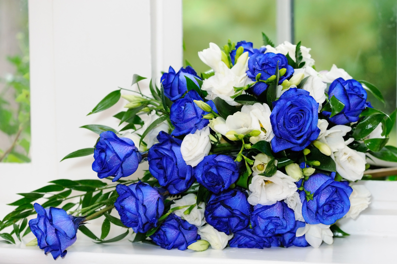 Can You Create Your Own Blue Roses