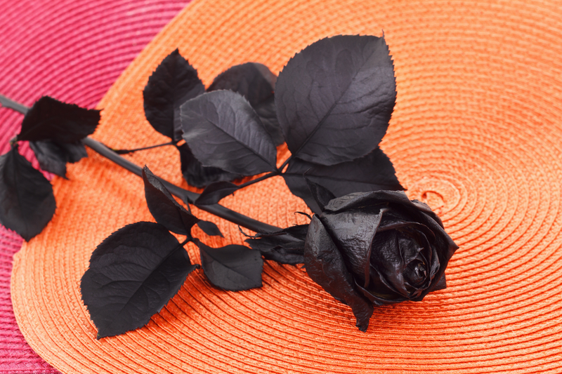 What Does a Black Rose Mean