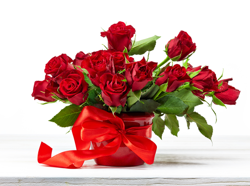 Do Red Roses Grow Naturally