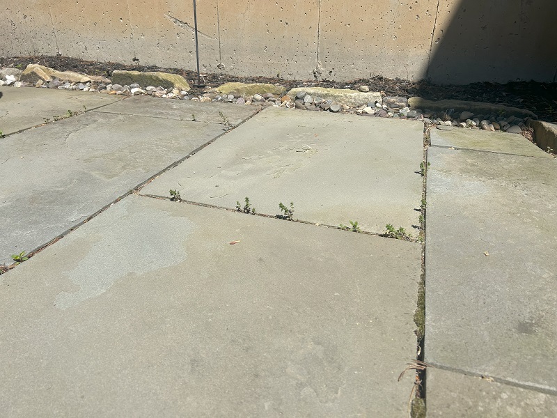 Can Baking Soda Get Rid of Weeds Between Pavers