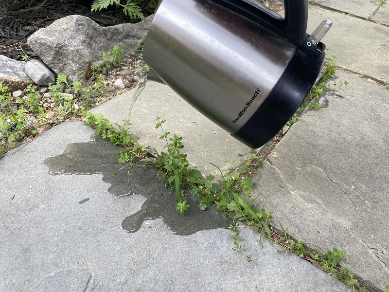 Can Boiling Water Act as a Weed Killer Between Pavers
