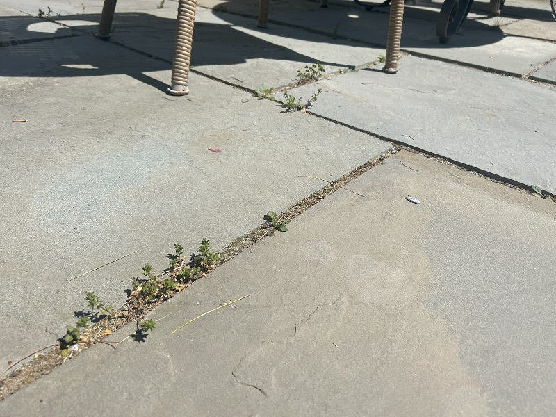 How to Remove Weeds from Pavers